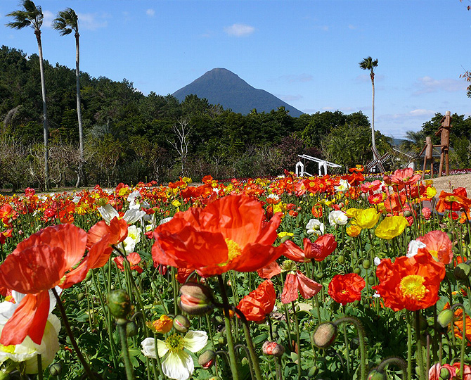 花広場